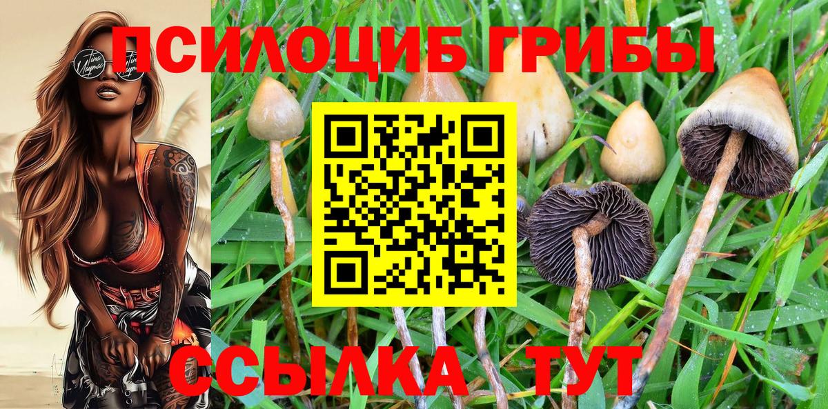Галлюциногенные грибы MAGIC MUSHROOMS  Вход с VPN  Псилоцибиновые грибы мухоморы  Краснодар 